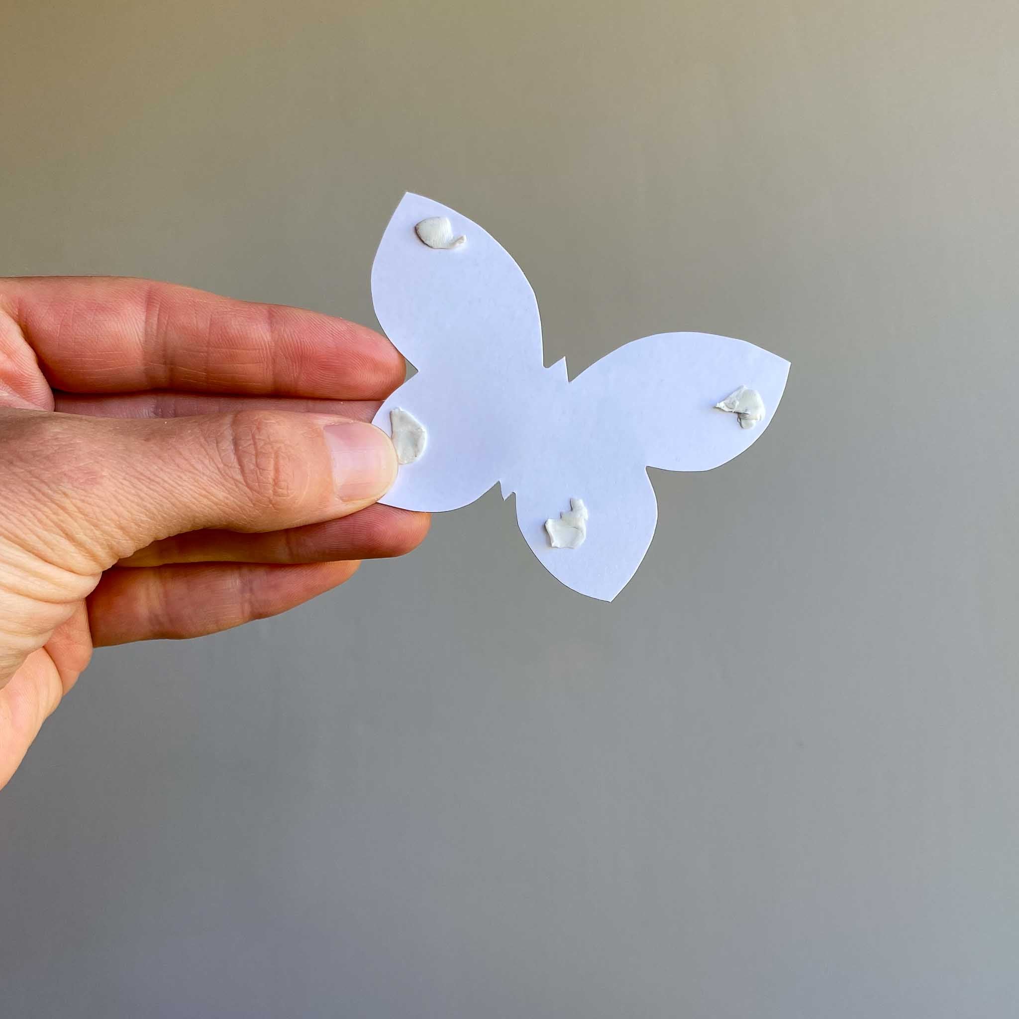 BUTTERFLIES wall art