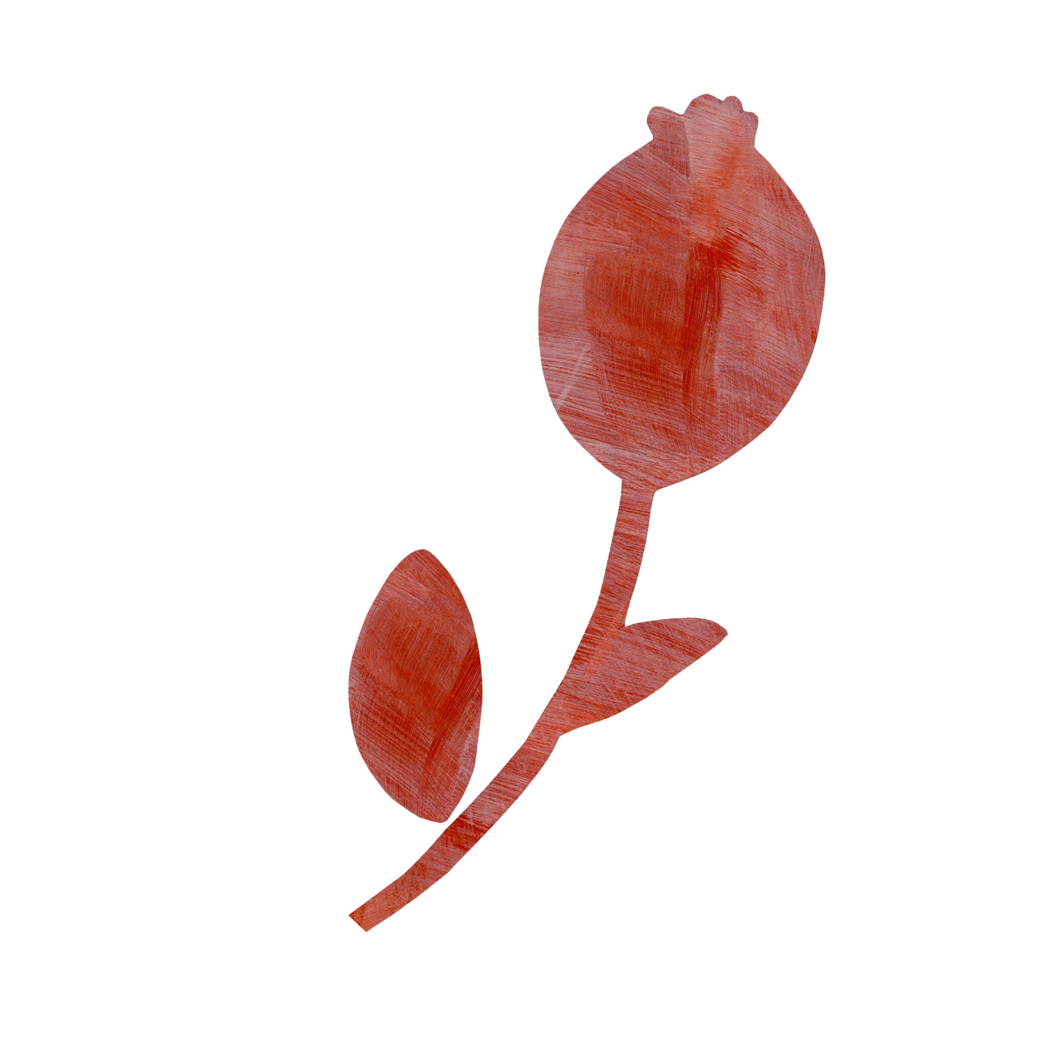 POPPY kobber